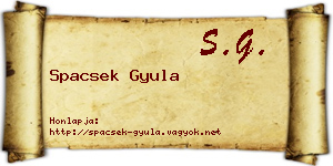 Spacsek Gyula névjegykártya